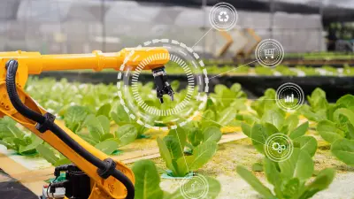 Um robô automático trata de plantas em crescimento. 